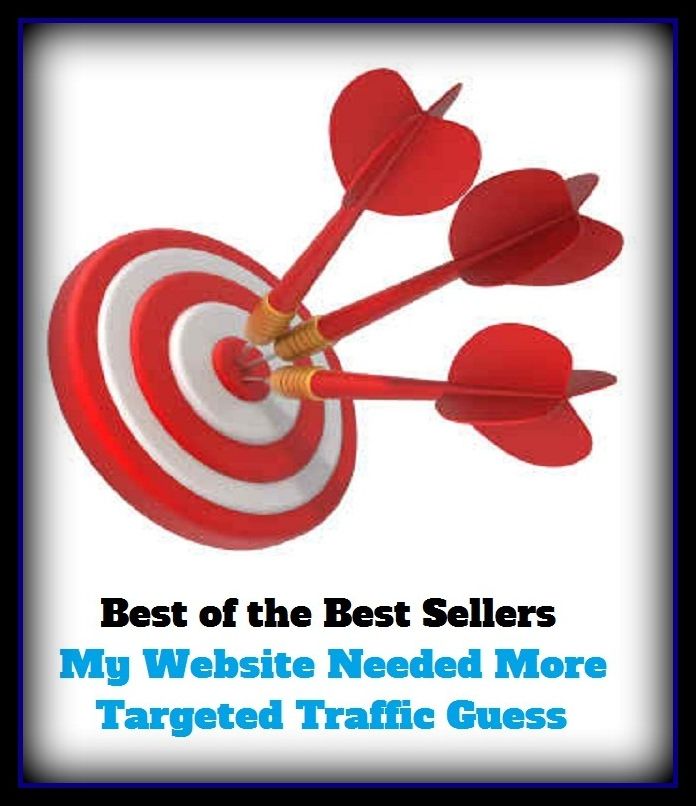 Best of the Best Sellers My Website Needed More Targeted Traffic Guess (freight, gridlock, influx, movement, service, shipment, transit, transport, transportation, travel, cartage)