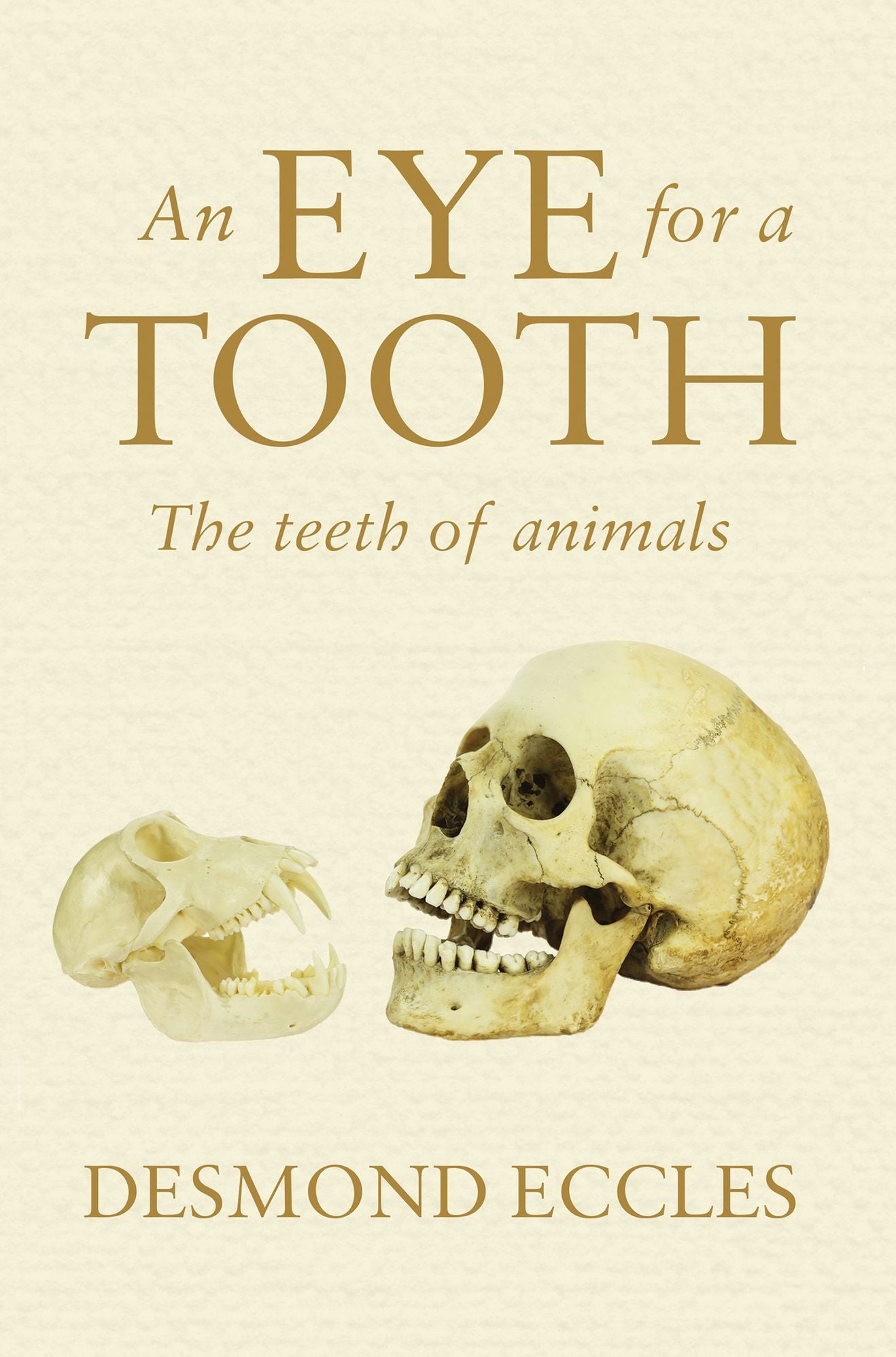 An Eye for a Tooth: The teeth of animals