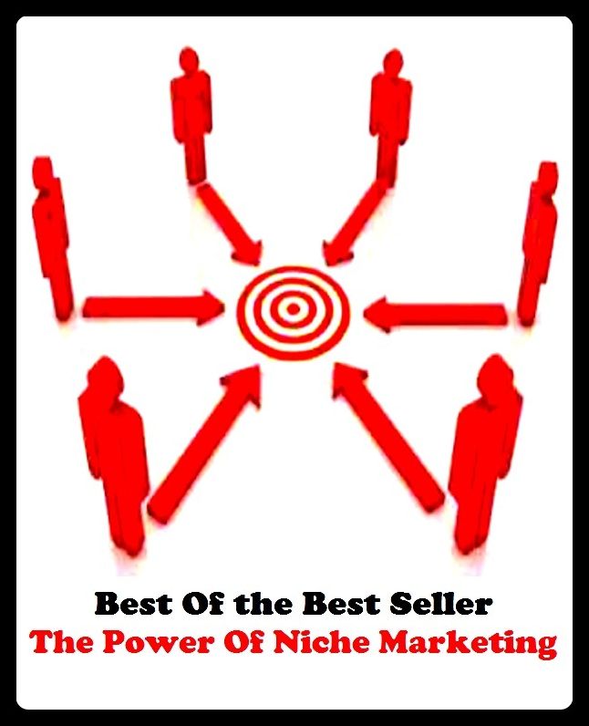 Best of the best sellers The Power Of Niche Marketing ( branding, stigmatize, taint, disgrace, mark, assembly, gathering, marshalling, rally, survey, marketing, advertising, promotion, selling )