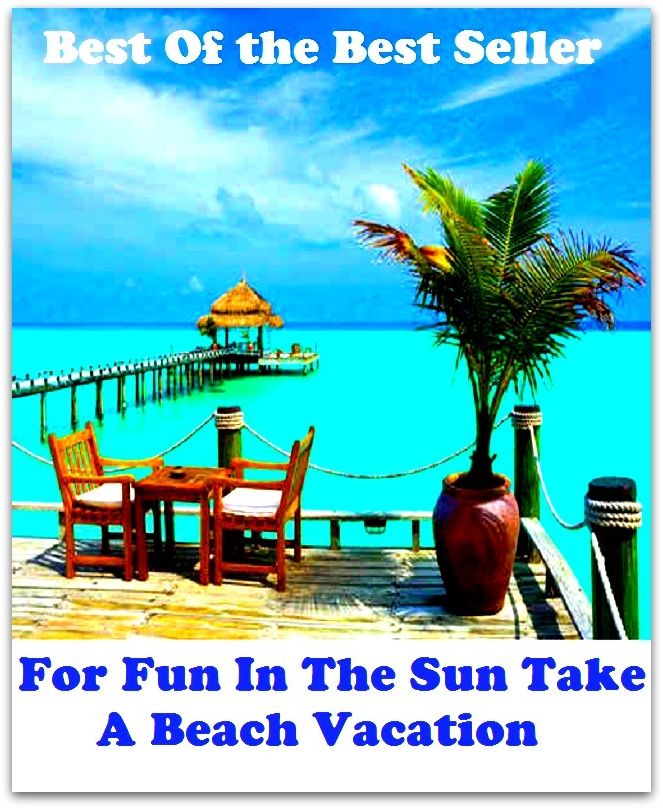 Best of the best sellers For Fun In The Sun Take A Beach Vacatio ( vacation, holiday, travel, driving, excursion, flying, movement, navigation, ride, sailing, sightseeing, tour, trip, journey, amusement, enjoyment, fun, hobby, pleasure )
