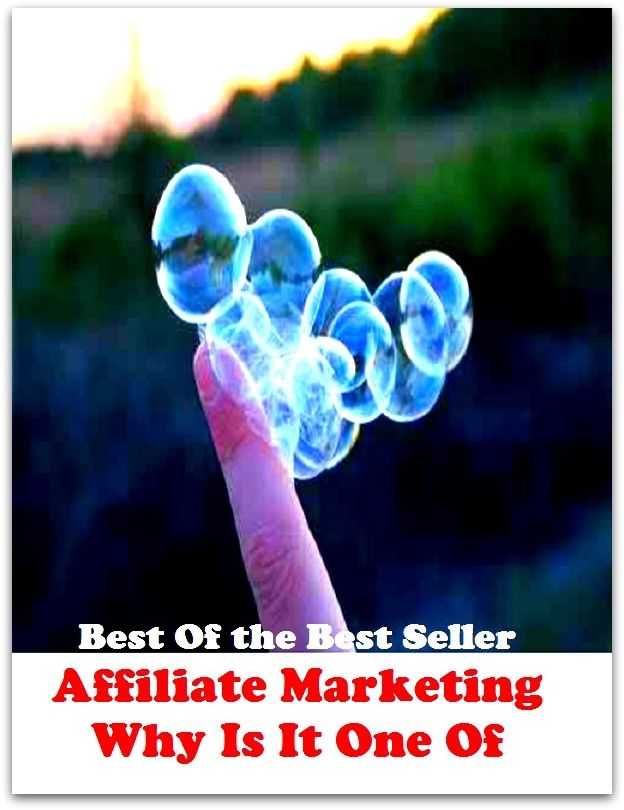 Best of the best sellers Affiliate Marketing Why Is It One Of ( business, employment, field, trade, work, bag, biz, calling, career, craft, dodge, function, game, line, livelihood, occupation, vocation )