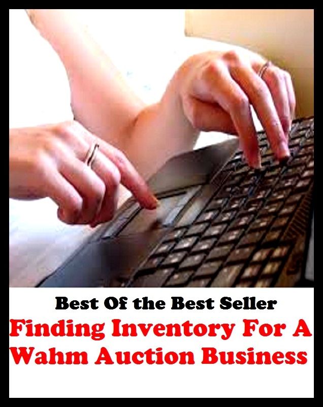 Best of the Best Sellers Finding Inventory For A Wahm Auction Business ( fake, mesh, net, plexus, web, snare, internet, research, calculating machine, electronics, online, work at home mom, work at home, earn, computer )