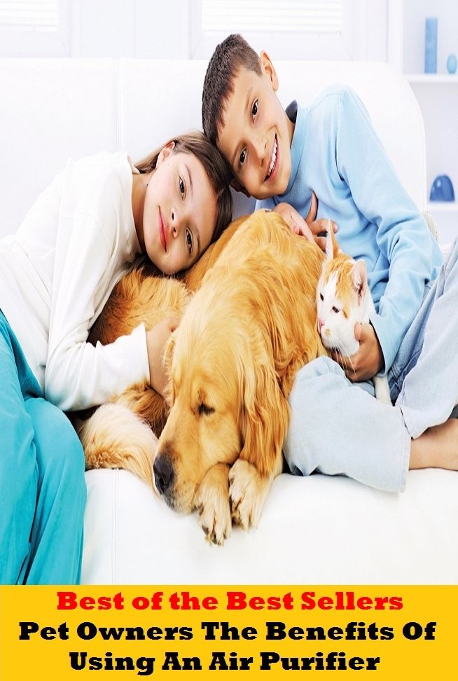 Best of the best seller Pet Owners The Benefits Of Using An Air Purifier (cleanser, hygienic, sterile, antibacterial, antibiotic, clean, prophylactic, aseptic, bactericidal, germ-destroying)