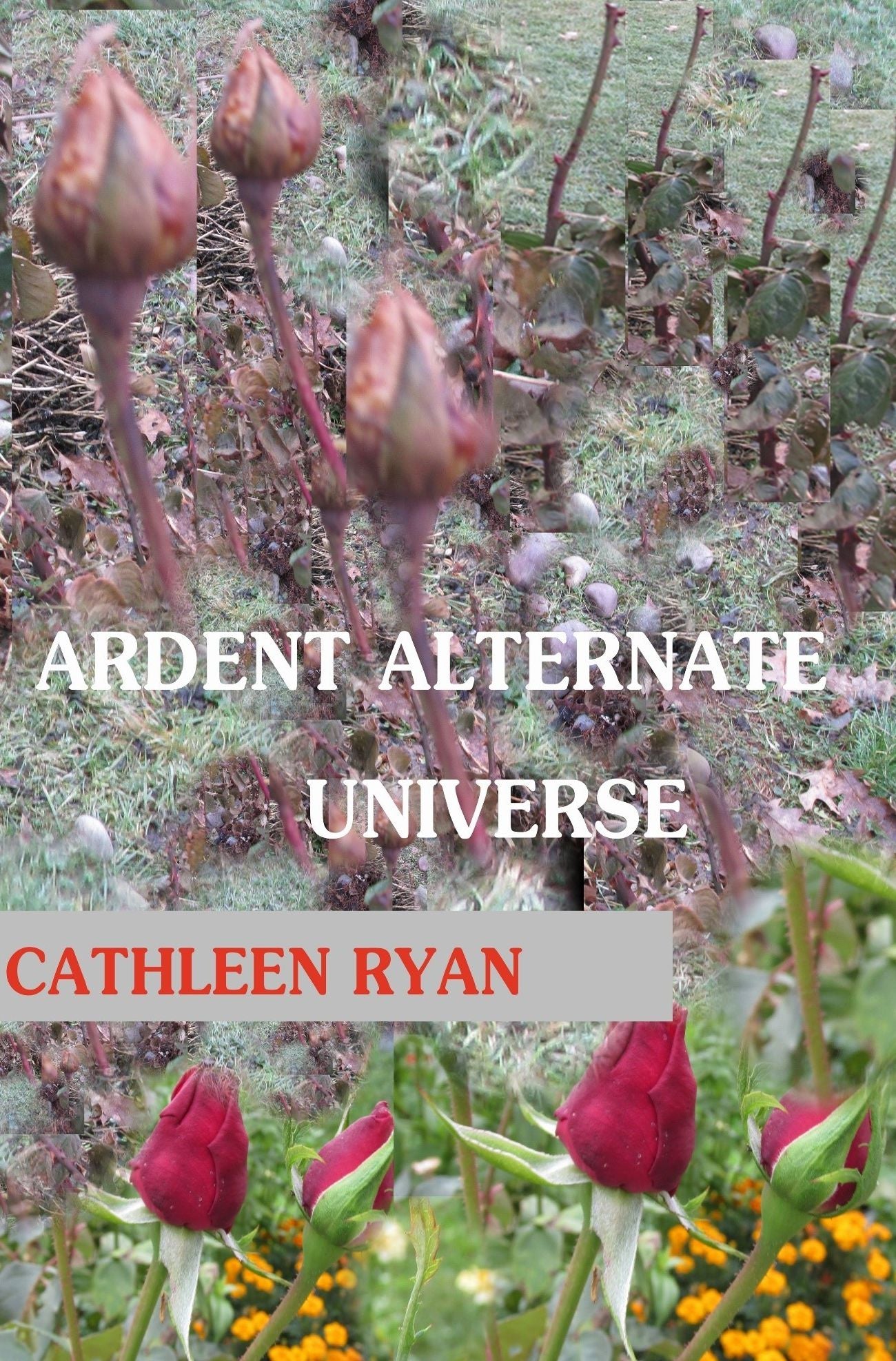Ardent Alternate Universe