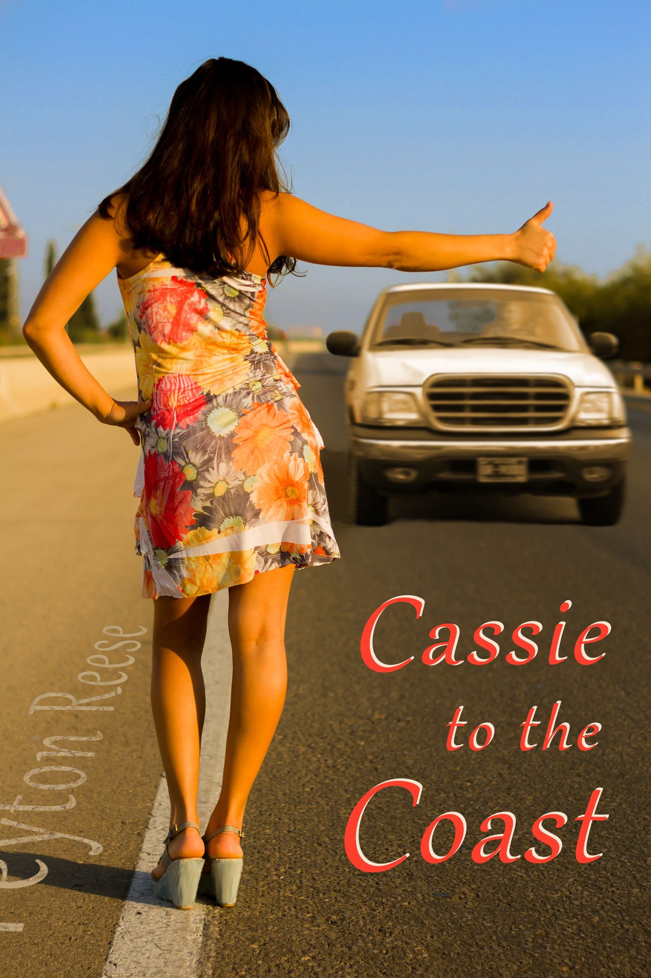 Cassie to the Coast