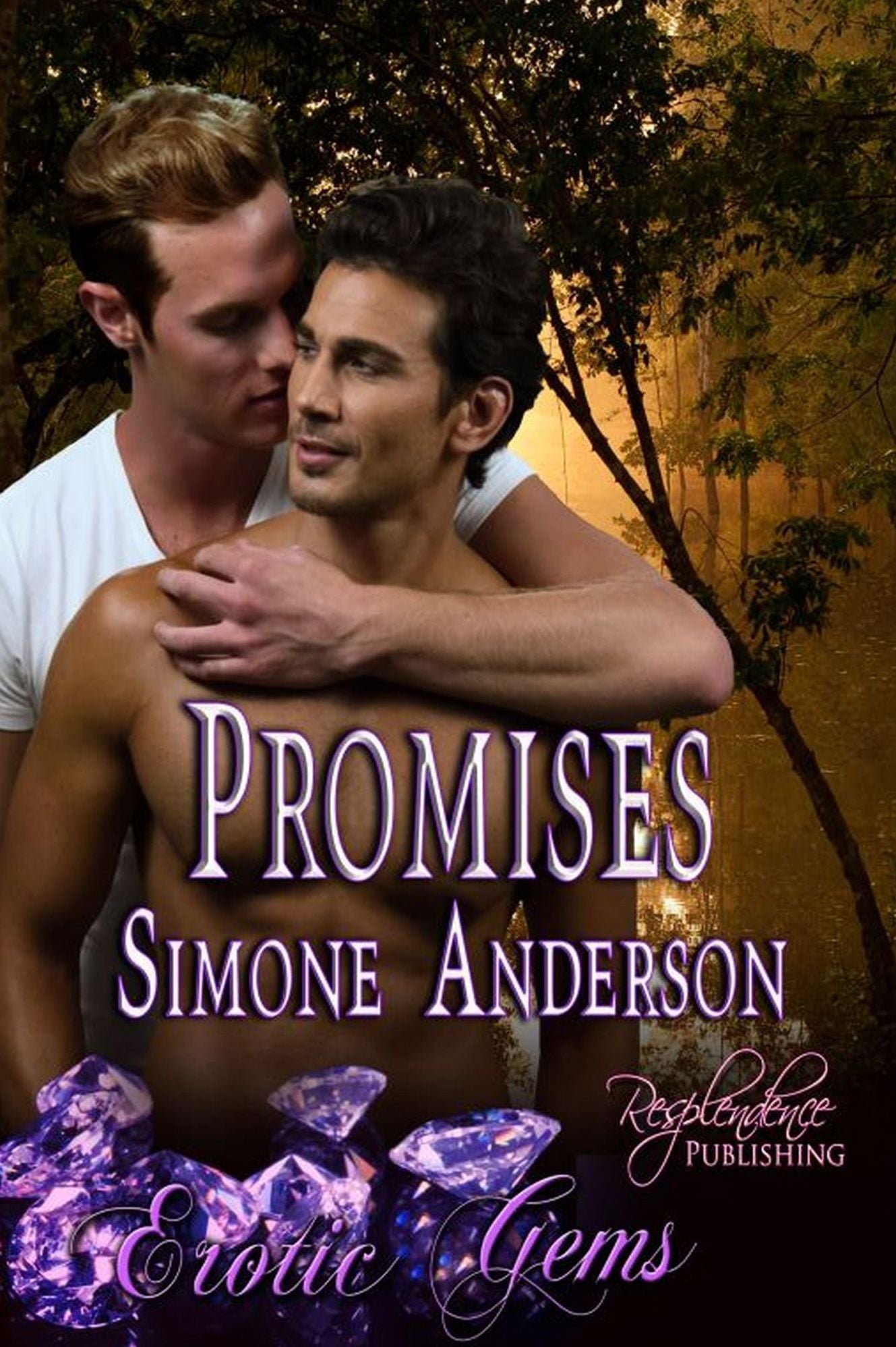 Promises (Gay Erotic Romance) (Erotic Gems Short) by Simone Anderson