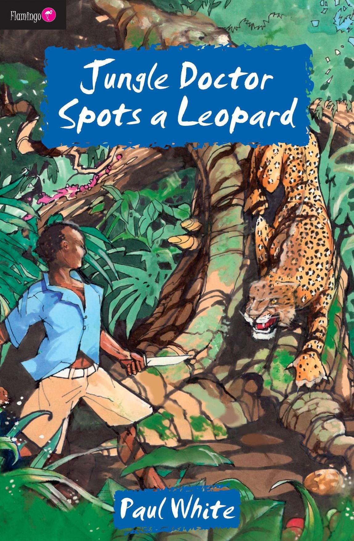 Jungle Doctor spots a Leopard
