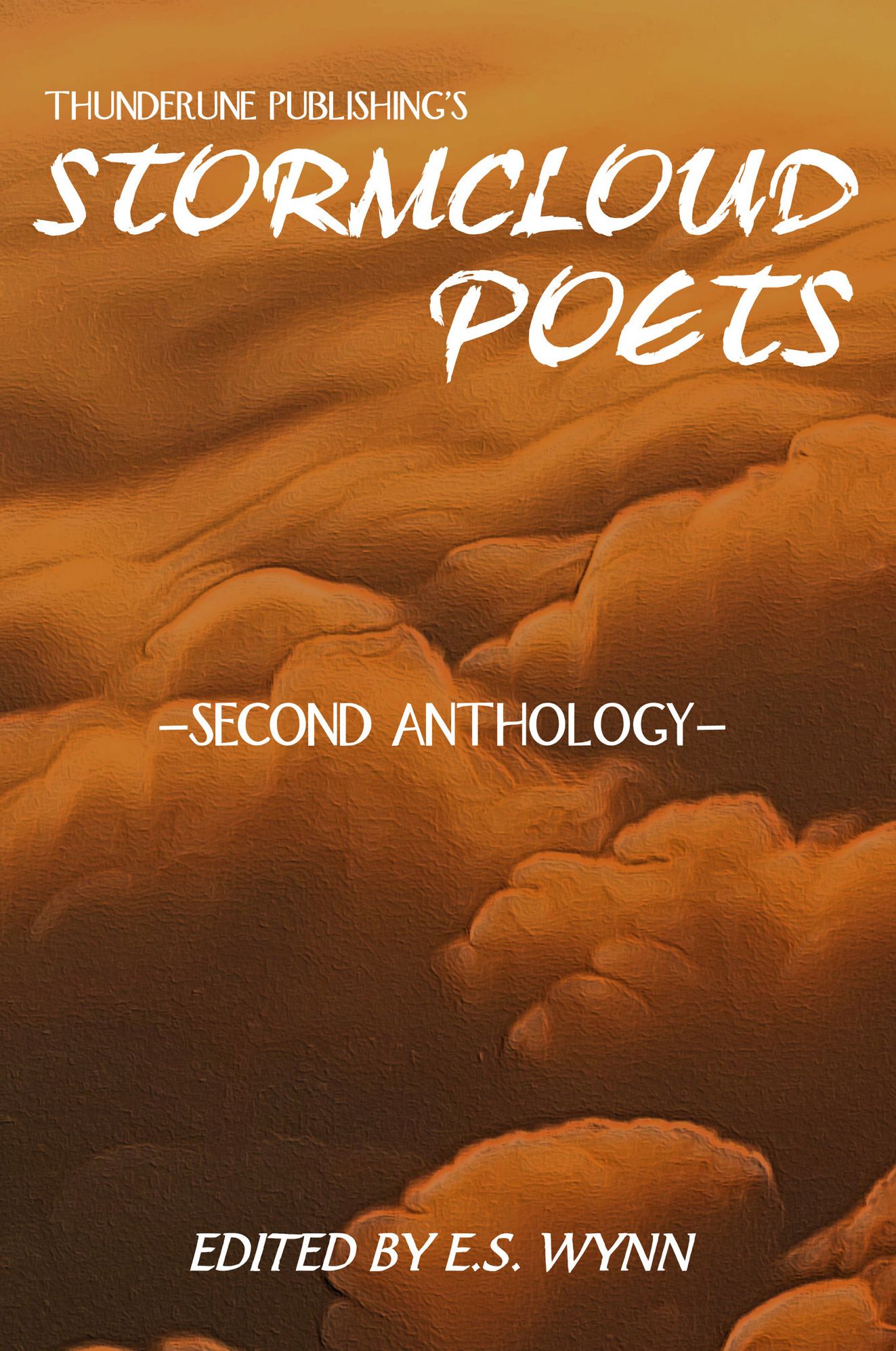 Stormcloud Poets #2