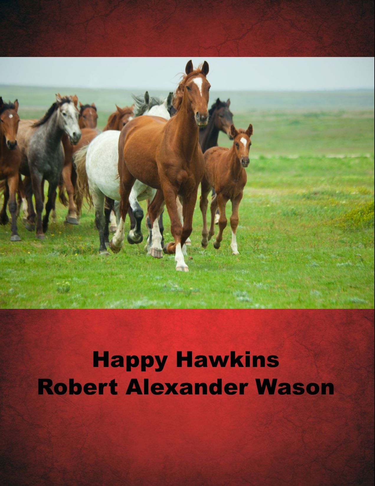 Happy Hawkins