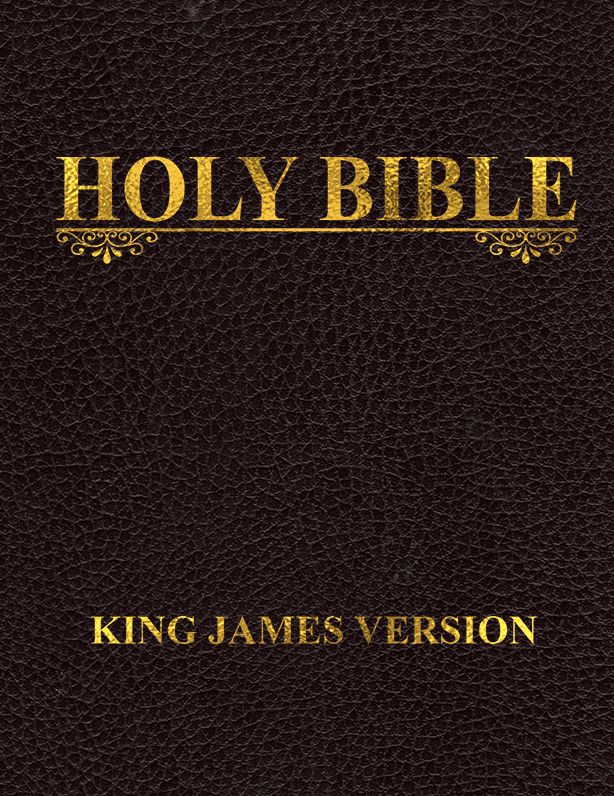 Holy Bible, King James Version [NOOK eBook with optimized navigation]