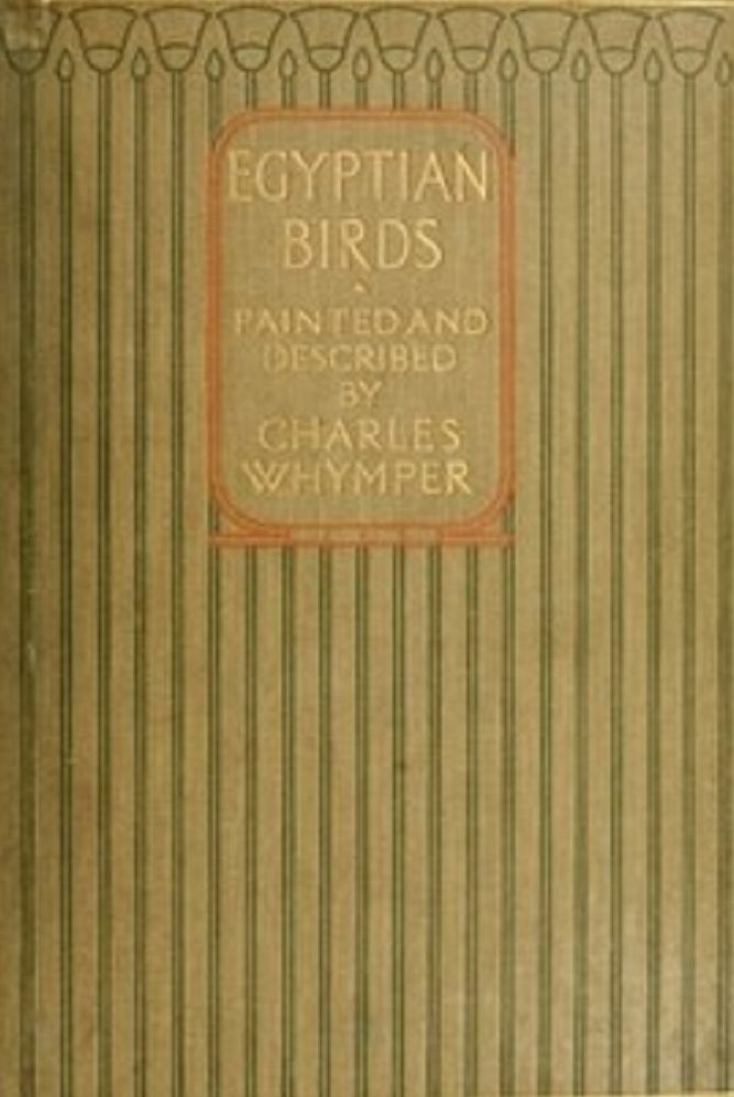Egyptian Birds (Illustrated)