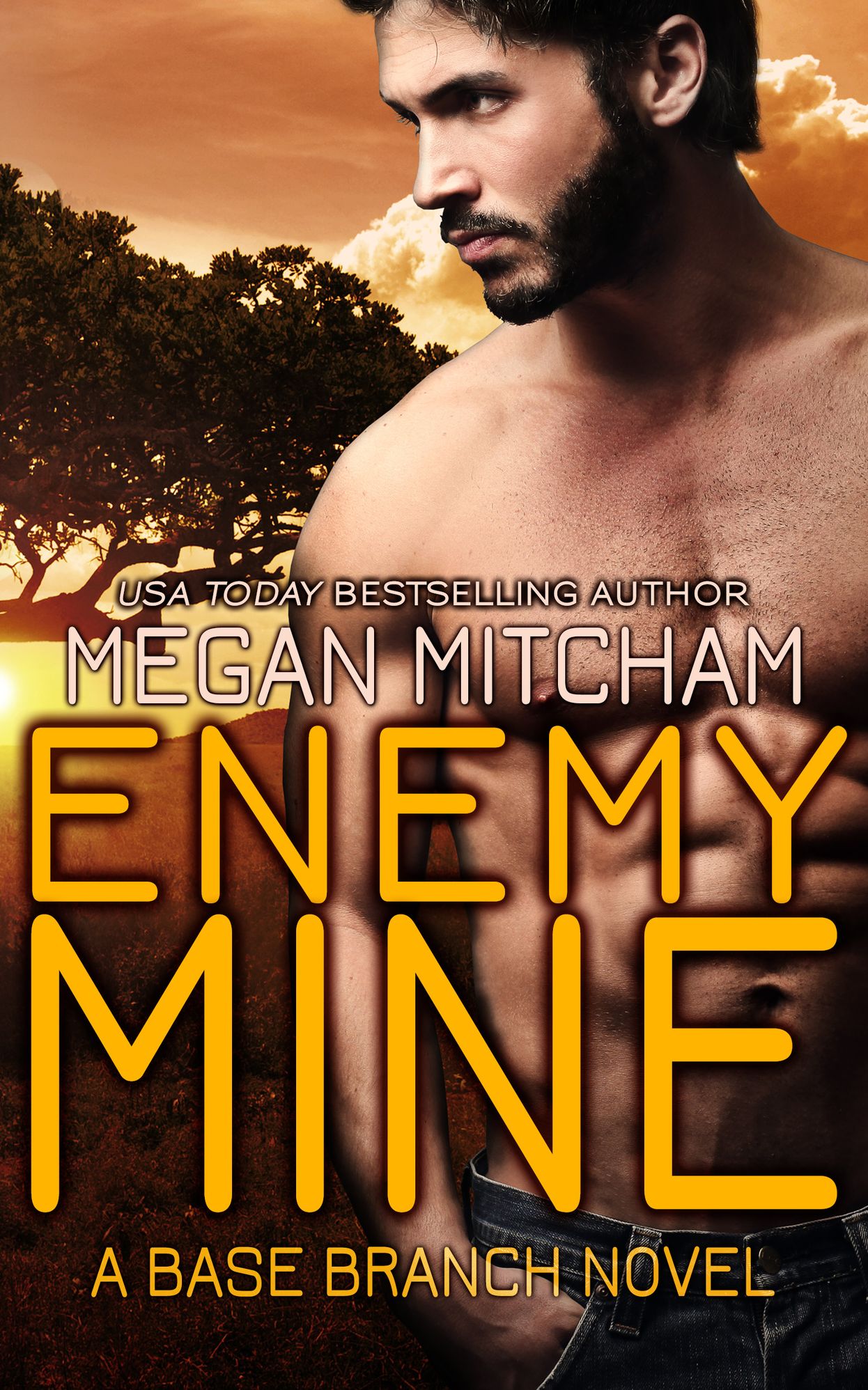 Enemy Mine