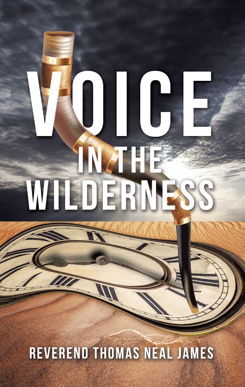 Voice in the Wilderness