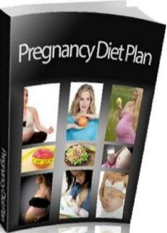 eBook about Pregnancy Diet Plan - Pregnancy 101...