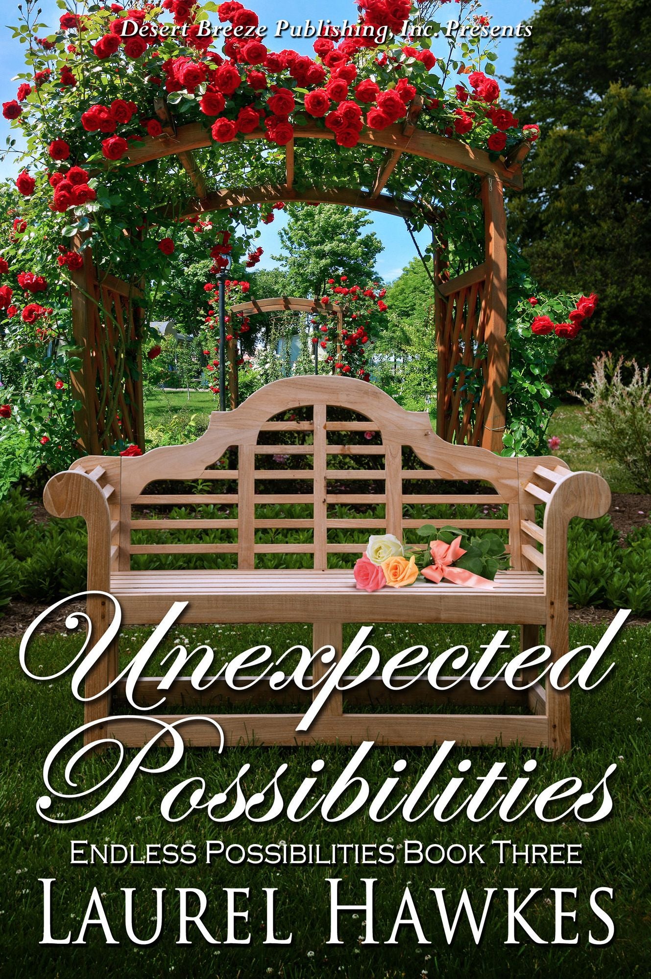 Enless Possibilities Book Three: Unexpected Possibilities