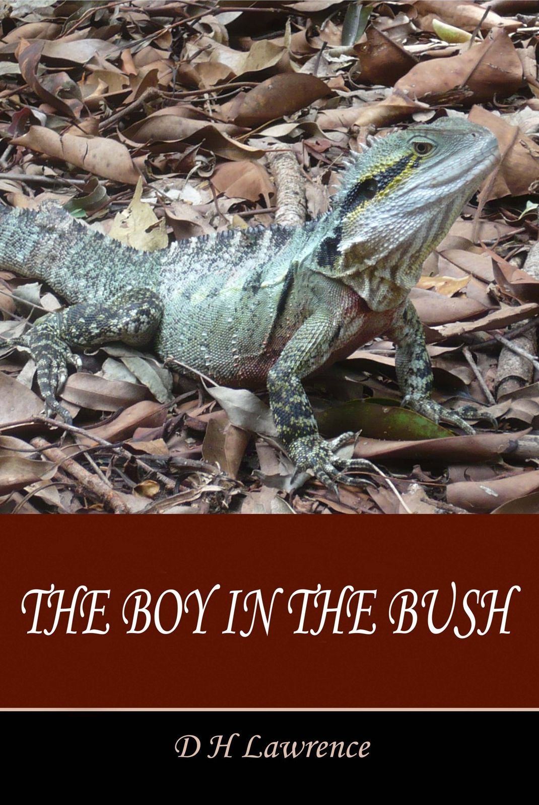 The Boy in the Bush