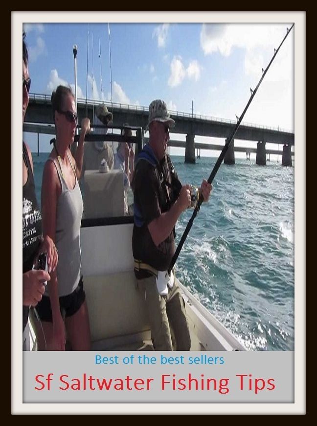 Saltwater Fishing Strategy: Saltwater Fishing Tips (go fishing, angle, cast, trawl, troll, seine, angling, trawling, trolling, seining, ice fishing, catching fish)