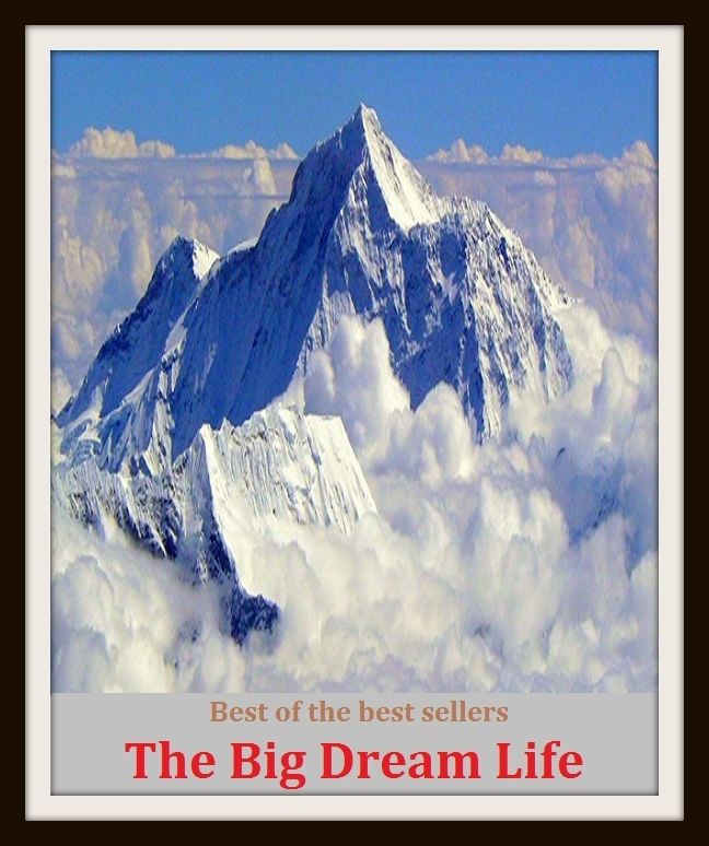 Best of the Best Sellers The Big Dream Life (lifetime, existence, livelihood, breath, quick, lifetime, life span, days, time on earth, existence)