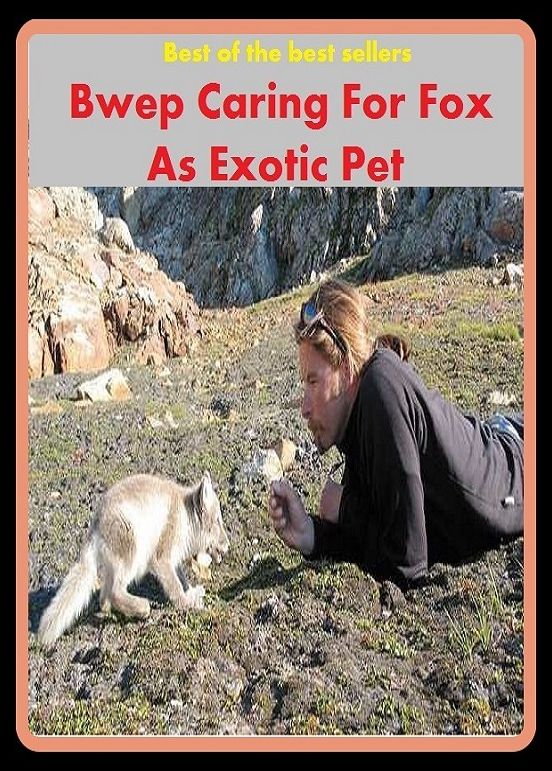 Best of the Best Sellers Bwep Caring For Fox As Exotic Pet ( cherished, darling, rdear, deare, arendearing, favored, loved, preferred, special, affectionate )