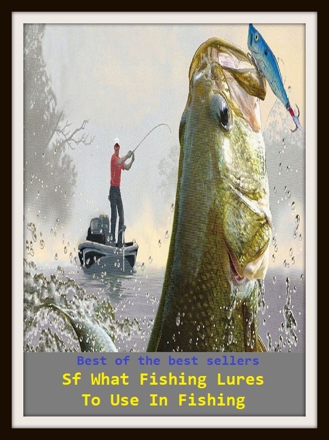 Fishing Techniques: What Fishing Lures To Use In Fishing (tempt, entice, attract, induce, coax, persuade, inveigle, allure, seduce, win over, cajole, beguile, bewitch, ensnare)