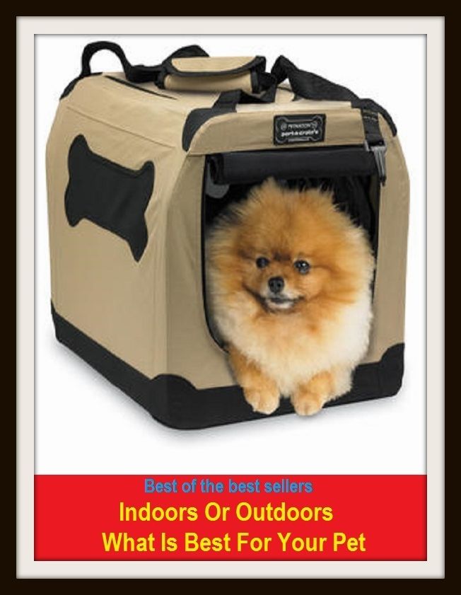 Best of the Best Sellers Indoors Or Outdoors What Is Best For Your Pet ( austere, bucolic, homey, pastoral, picturesque, primitive,simple, verdant, arcadian, transparent star transparent star )