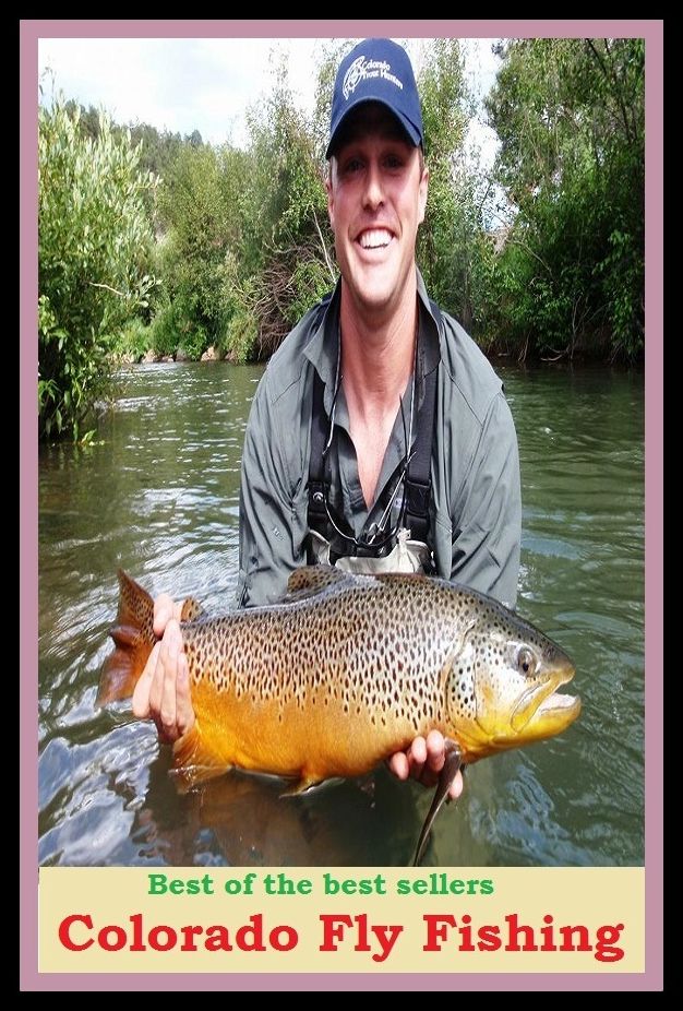 How to Fly Fish: Colorado Fly Fishing (go fishing, angle, cast, trawl, troll, seine, angling, trawling, trolling, seining, ice fishing, catching fish)