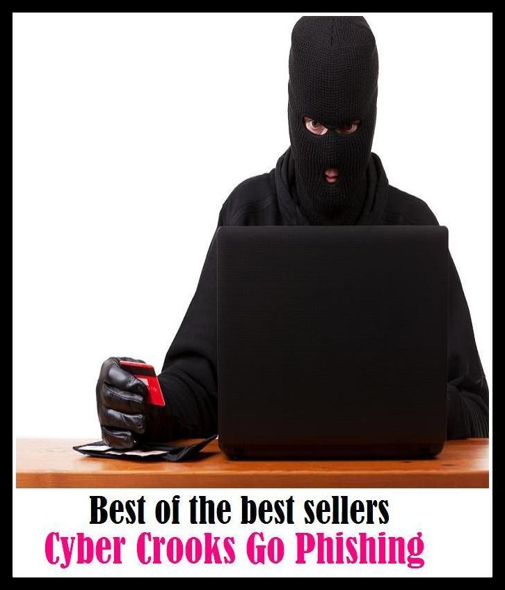 Best of the Best Sellers Cyber Crooks Go Phishing (criminal, lawbreaker, offender, villain, delinquent, felon, convict, malefactor, culprit, wrongdoer)