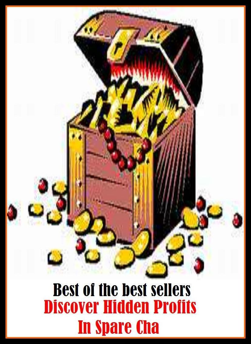 Best of the Best Sellers Discover Hidden Profits In Spare Cha (make money, make a profit, rake it in, clean up, make a killing, make a bundle, make big bucks, make a fast, quick buck, gain)