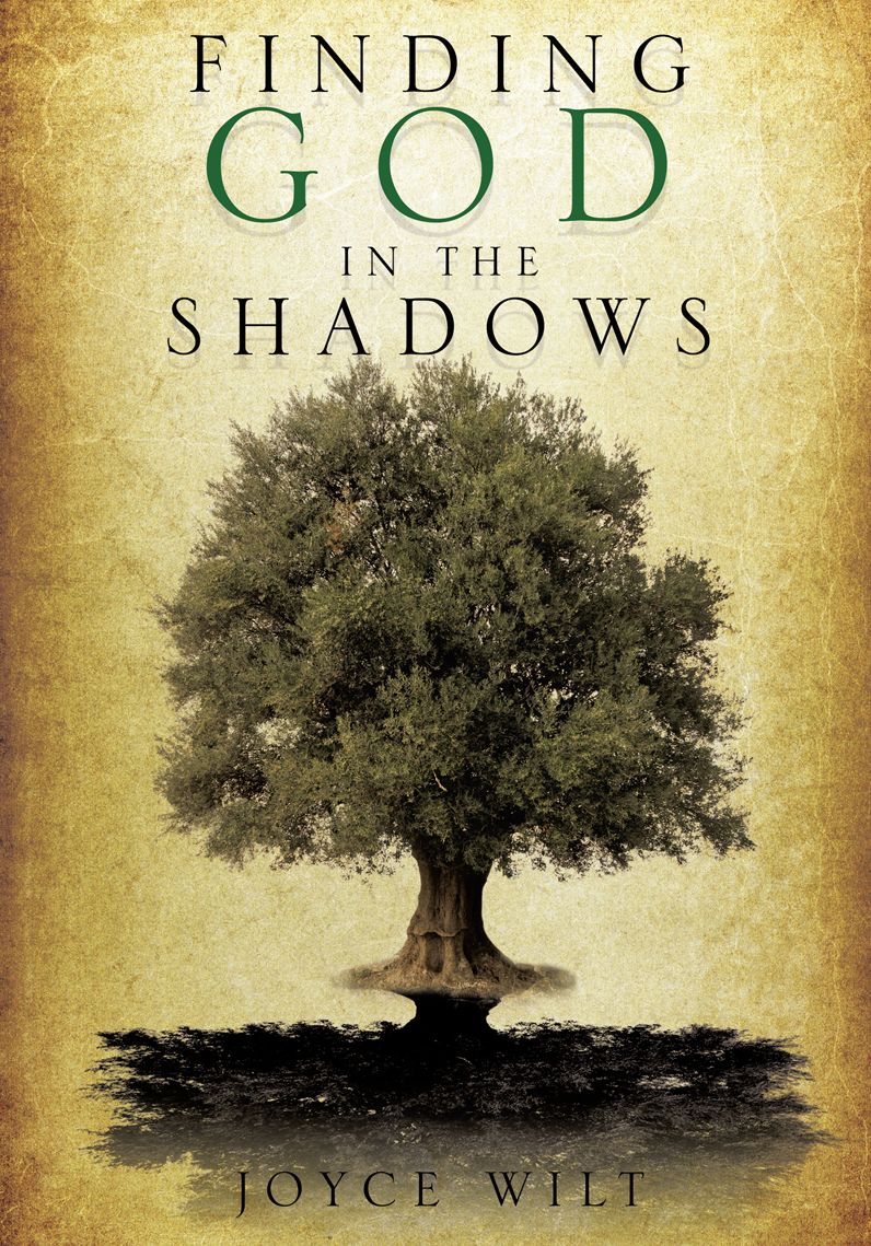 FINDING GOD IN THE SHADOWS