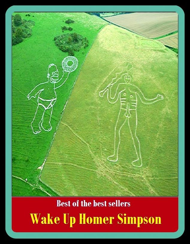 Best of the Best Sellers Wake Up Homer Simpson ( rouse, wake, awaken, waken, arouse, exalt, raise, lift, rouse, call to mind, call up)
