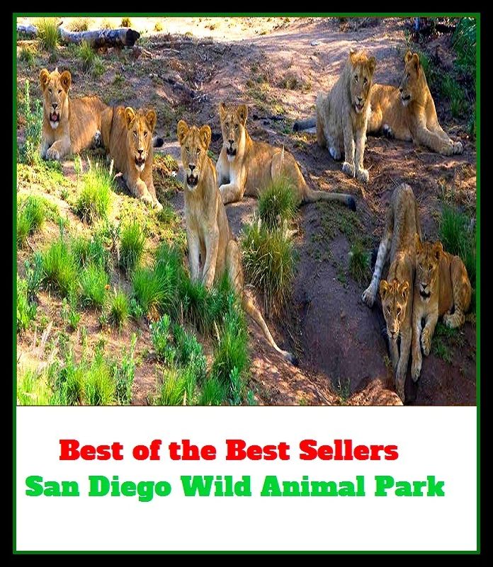 Best of the best sellers San Diego Wild Animal Park ( travel, driving, excursion, flying, movement, navigation, ride, sailing, sightseeing, tour, trip, journey, amusement, enjoyment, fun, hobby, pleasure, relaxation, refreshment )