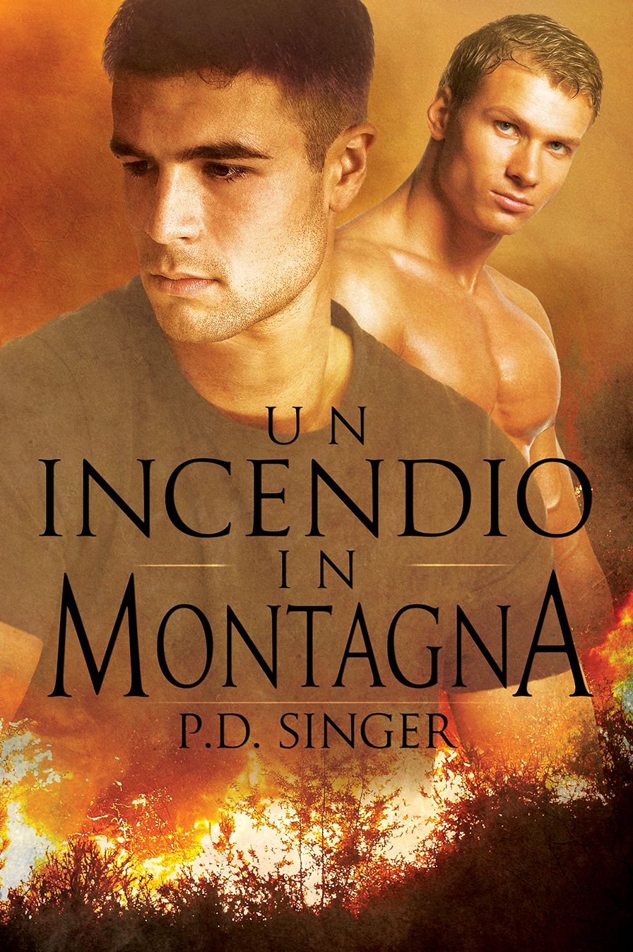 Un incendio in montagna