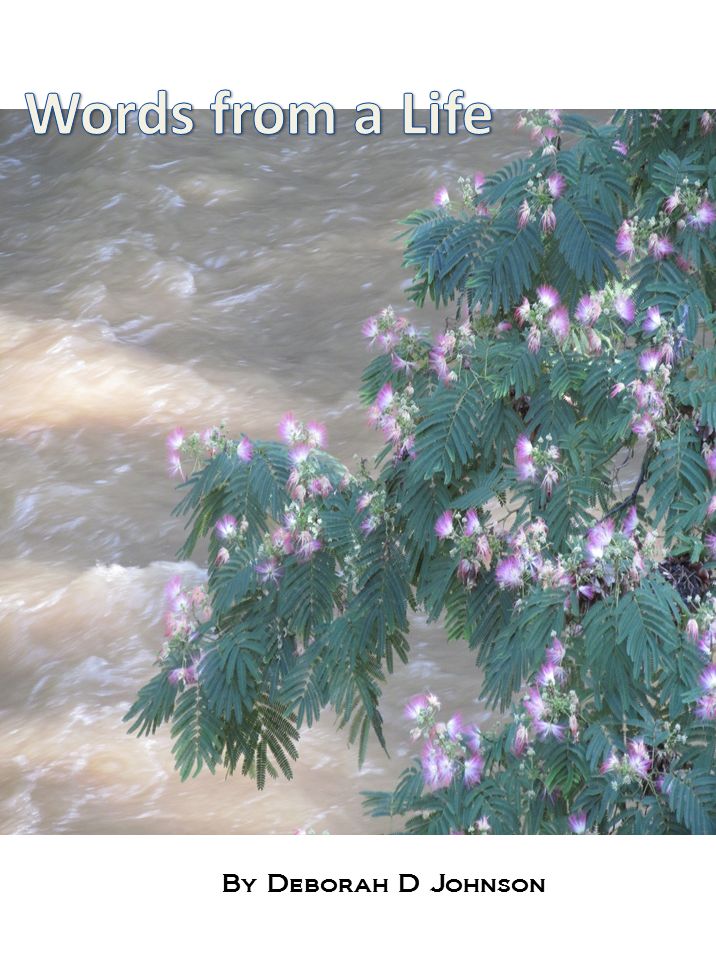 Words From A Life