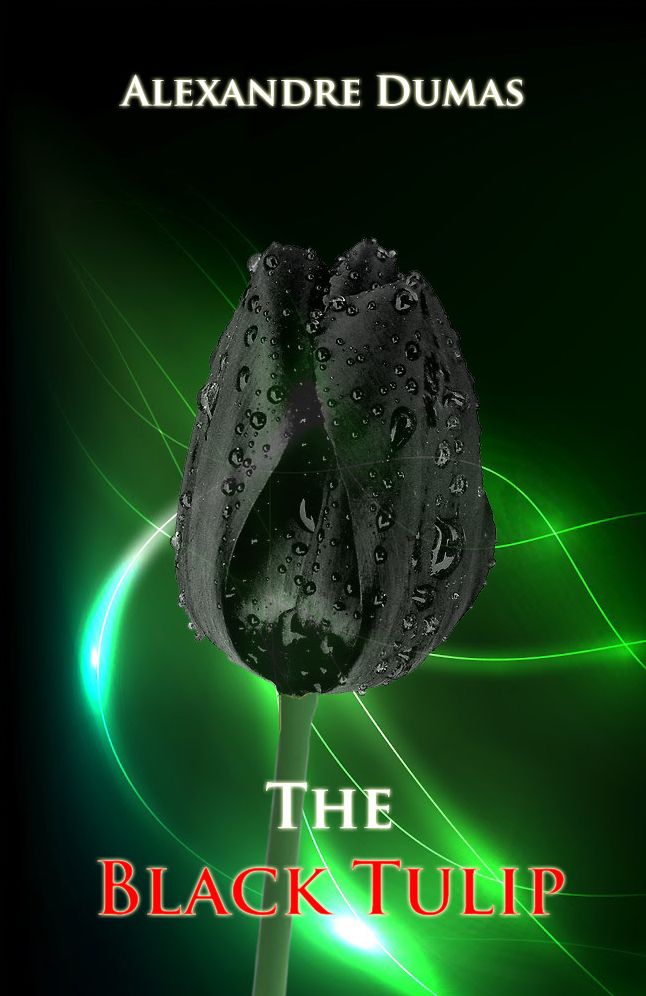 The Black Tulip