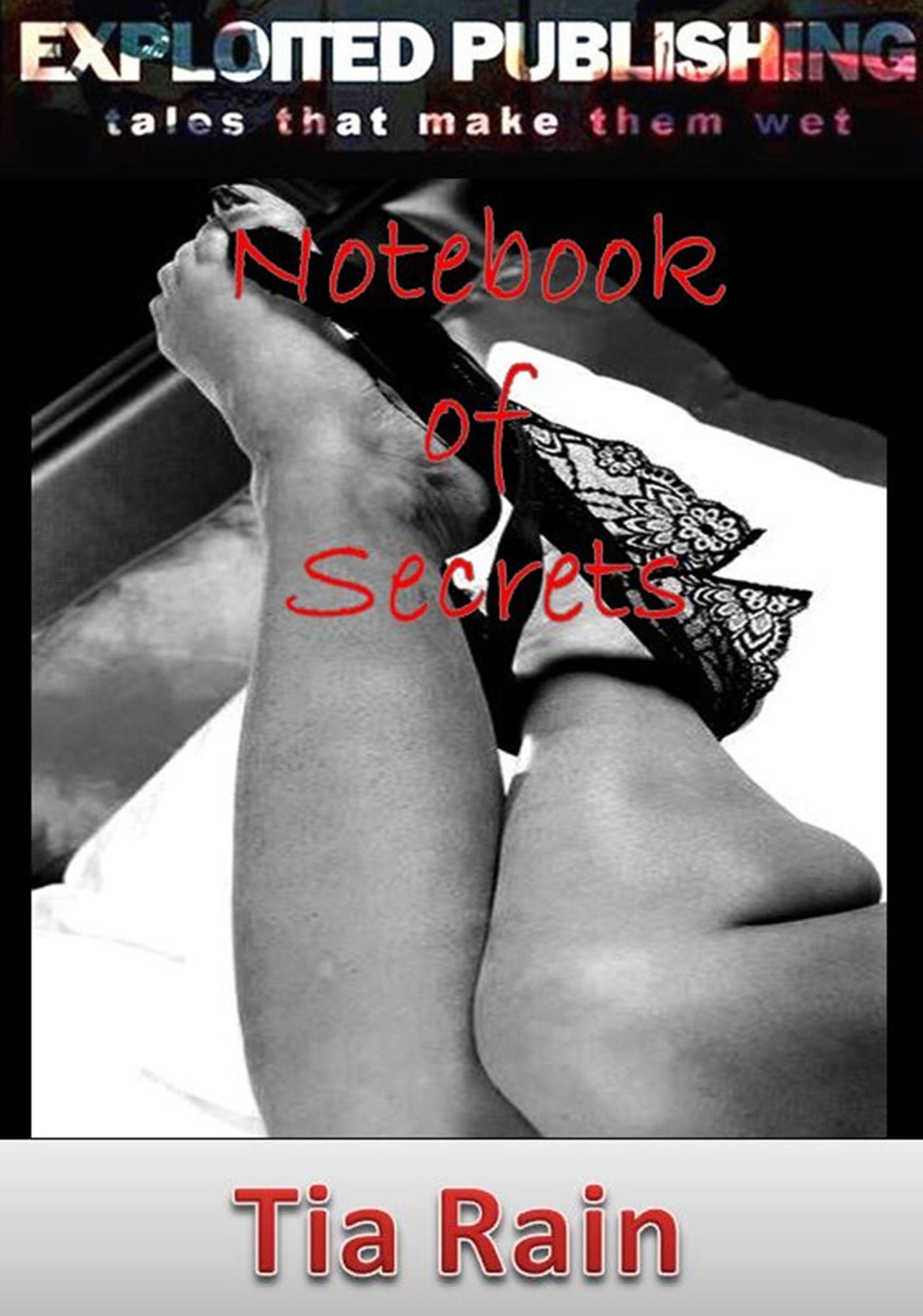 Notebook of Secrets