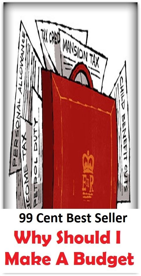 99 Cent Best Seller Why Should I Make A Budget ( Bureaucracy , civil service, organization, system of government, government, administration, establishment, official procedure )