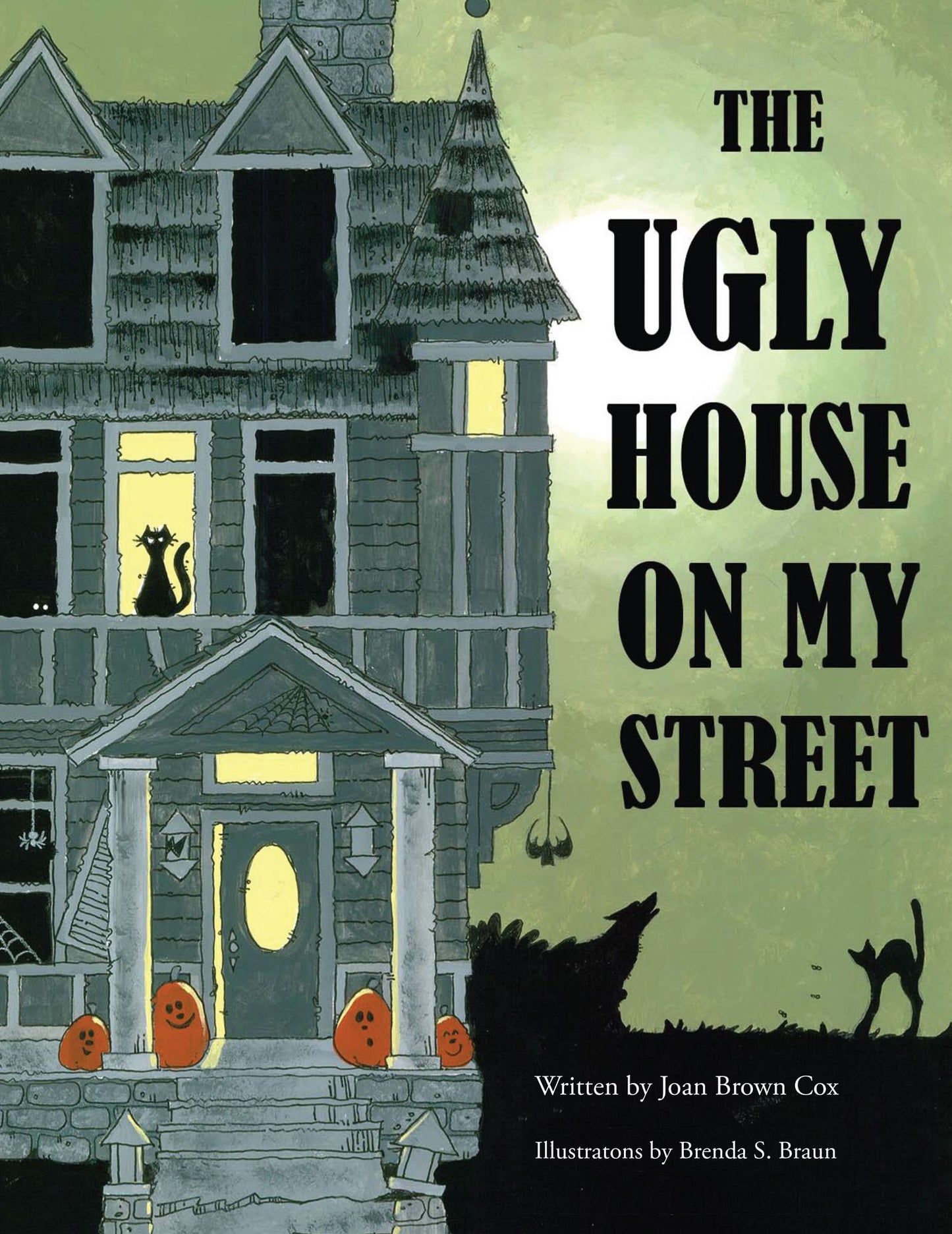The Ugly House on my Street