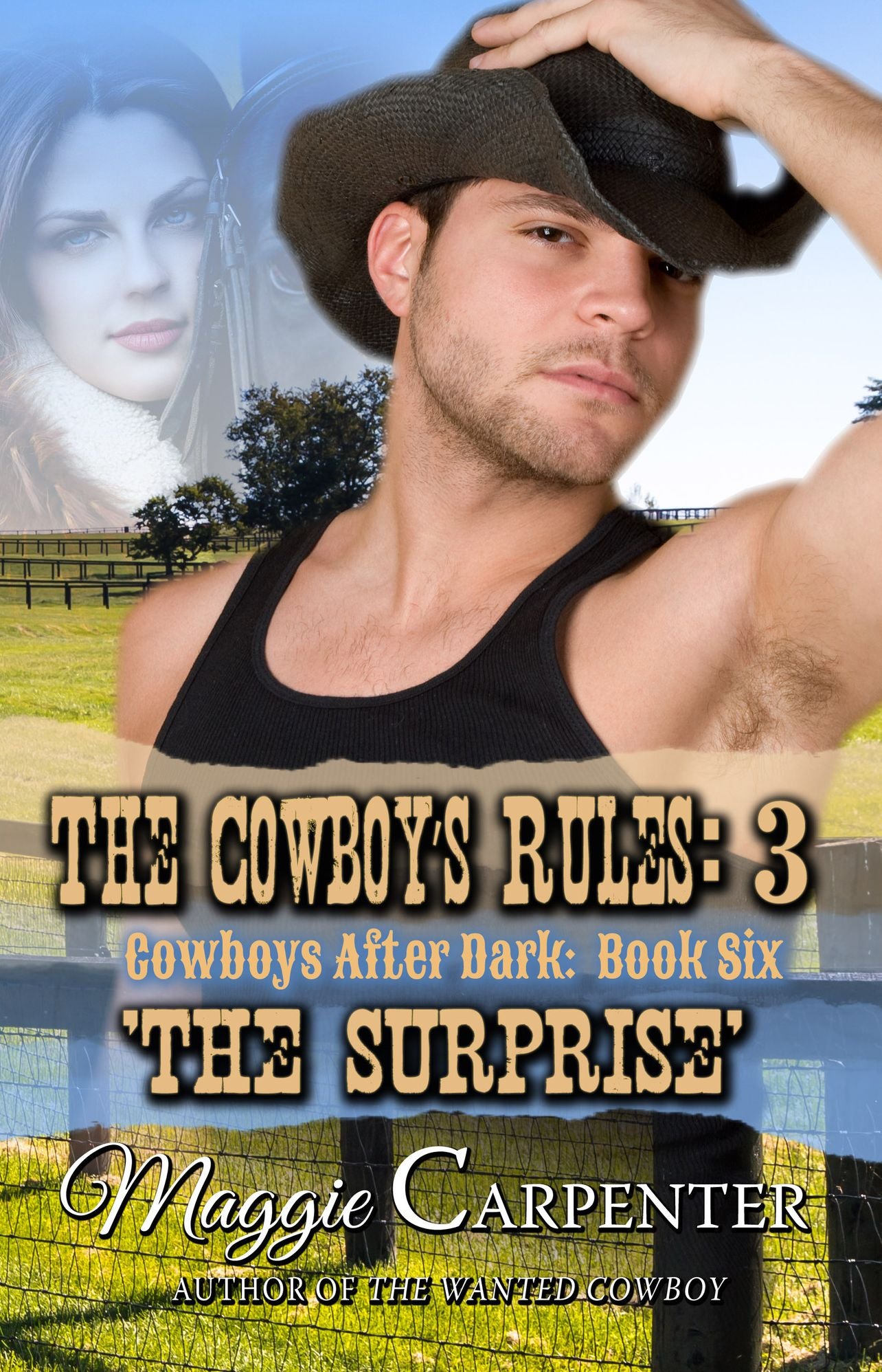The Cowboy's Rules: 3: The Surprise