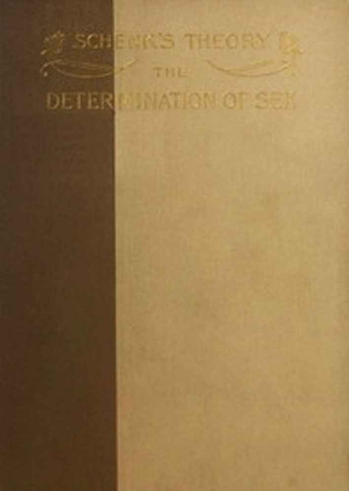 Schenk's Theory: The Determination of Sex