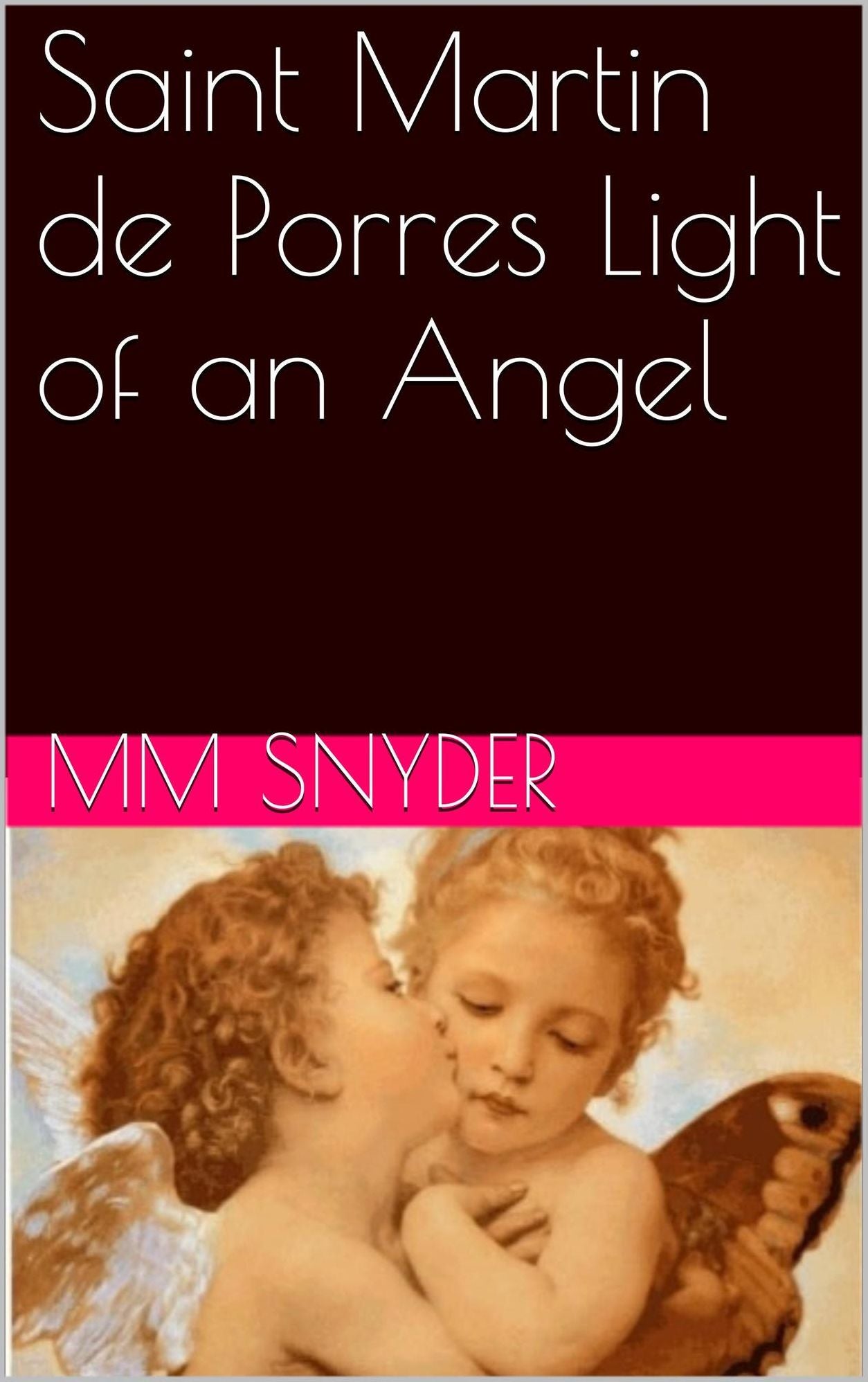 Saint Martin de Porres Light of an Angel