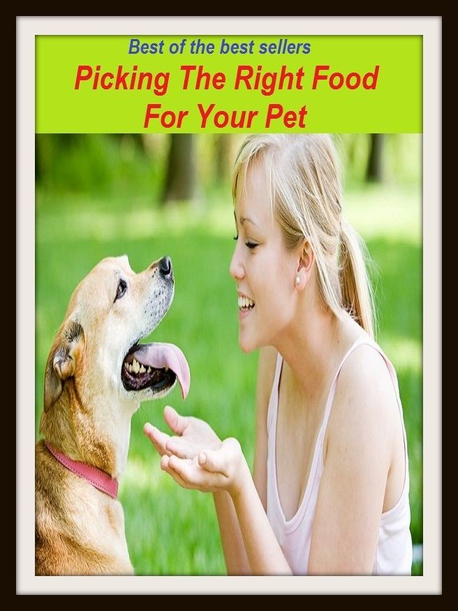 Best of the Best Sellers Picking The Right Food For Your Pet ( annoyance, nagging, molestation, bother, chagrin, provocation, deary, minion, dear, joy )