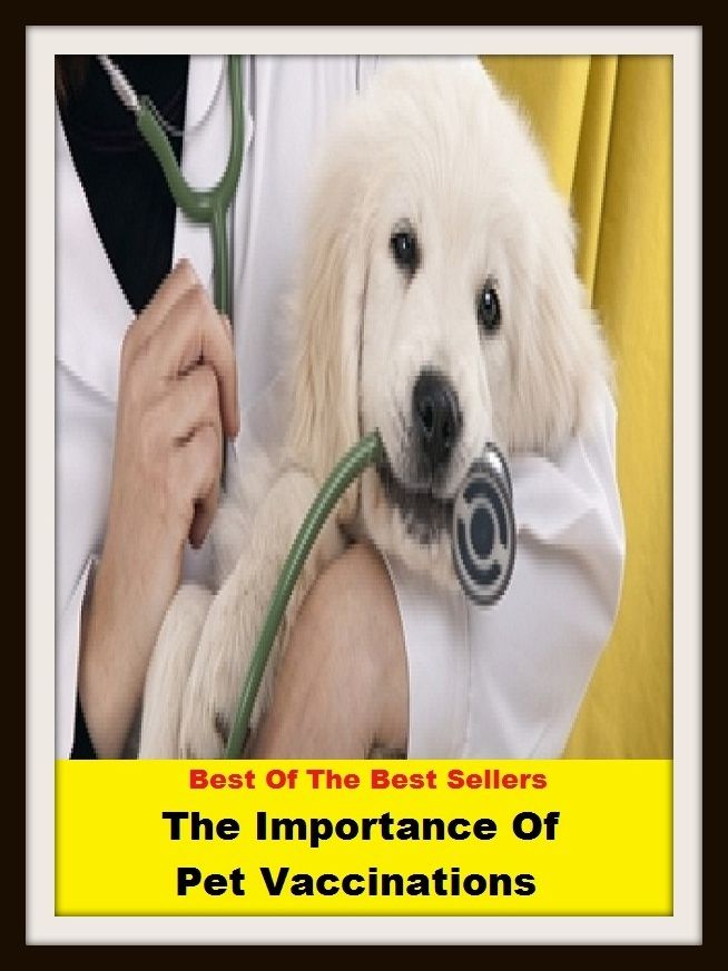 Best of the Best Sellers The Importance Of Pet Vaccinations (dear, favorite, annoyance, nagging, molestation, bother, chagrin, deary, minion)