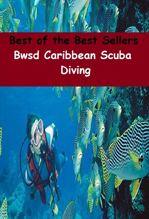 Best of the Best Sellers Caribbean Scuba Diving (bump, collapse, collide, ditch, dive, drop, hurtle, lurch, meet, pitch)