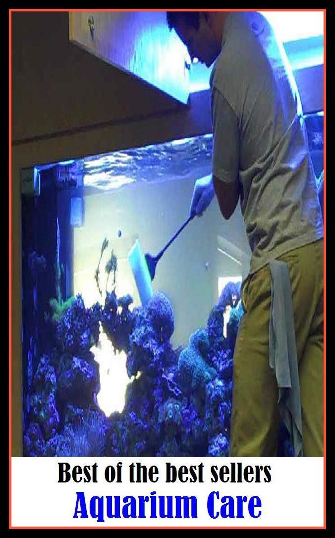 Best of the Best Sellers Aquarium Care ( safekeeping, supervision, custody, charge, protection, control, responsibility, guardianship, wardship, help )