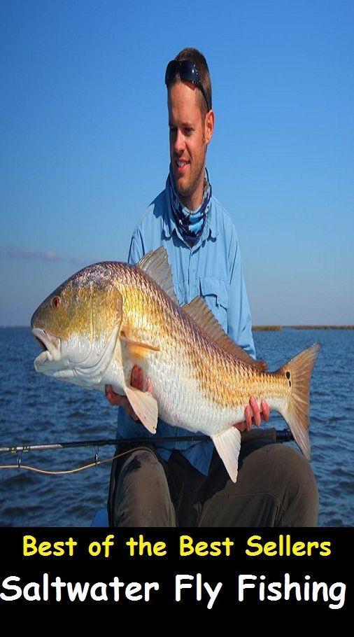 Best of the Best Sellers Saltwater Fly Fishing (go fishing, angle, cast, trawl, troll, seine, angling, trawling, trolling, seining, ice fishing, catching fish)