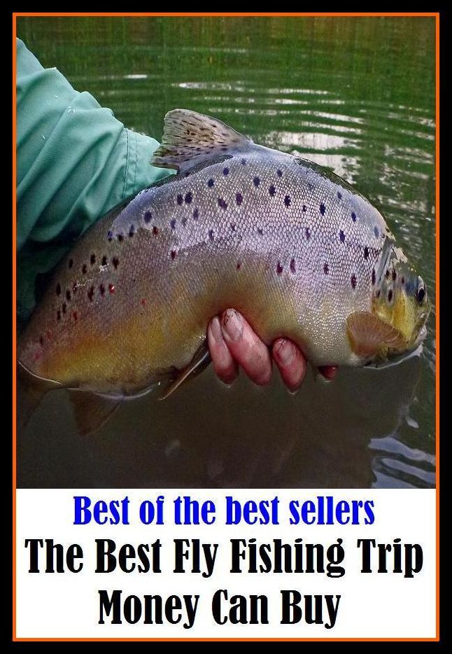Best of the Best Sellers The Best Fly Fishing Trip Money Can Buy (go fishing, angle, cast, trawl, troll, seine, angling, trawling, trolling, seining, ice fishing, catching fish)