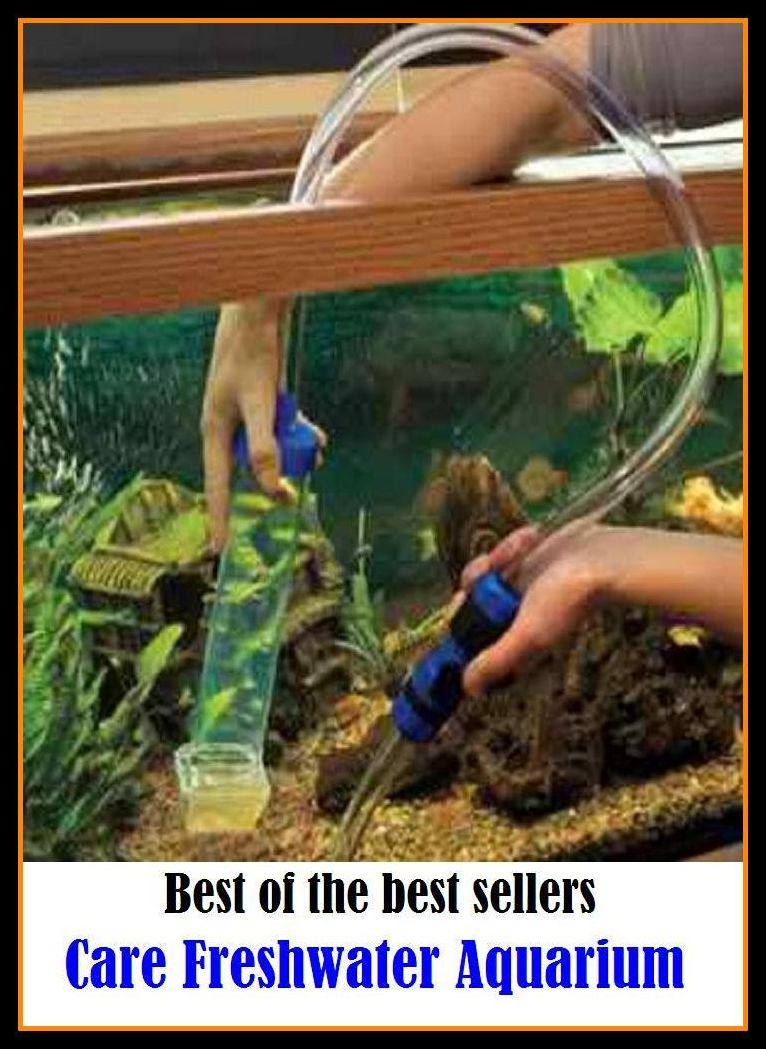 Best of the Best Sellers Care Freshwater Aquarium ( safekeeping, supervision, custody, charge, protection, control, responsibility, guardianship, wardship, help )