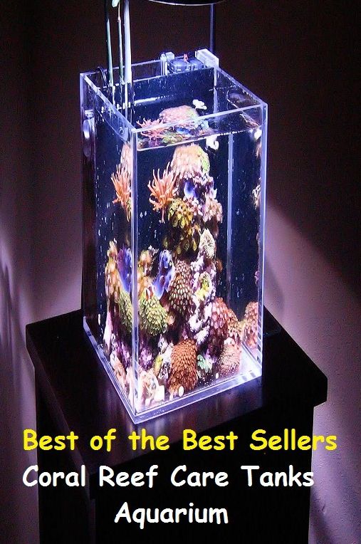 Best of the Best Sellers Coral Reef Care Tanks Aquarium ( safekeeping, supervision, custody, charge, protection, control, responsibility, guardianship, wardship, help )