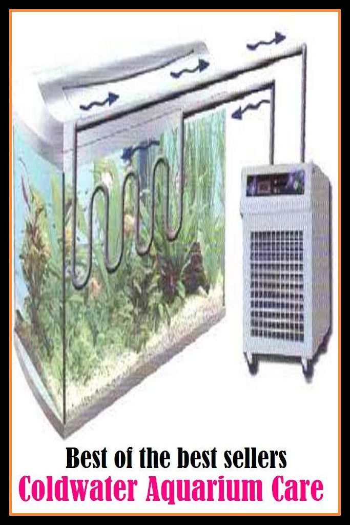 Best of the Best Sellers Cold water Aquarium Care ( safekeeping, supervision, custody, charge, protection, control, responsibility, guardianship, wardship, help )
