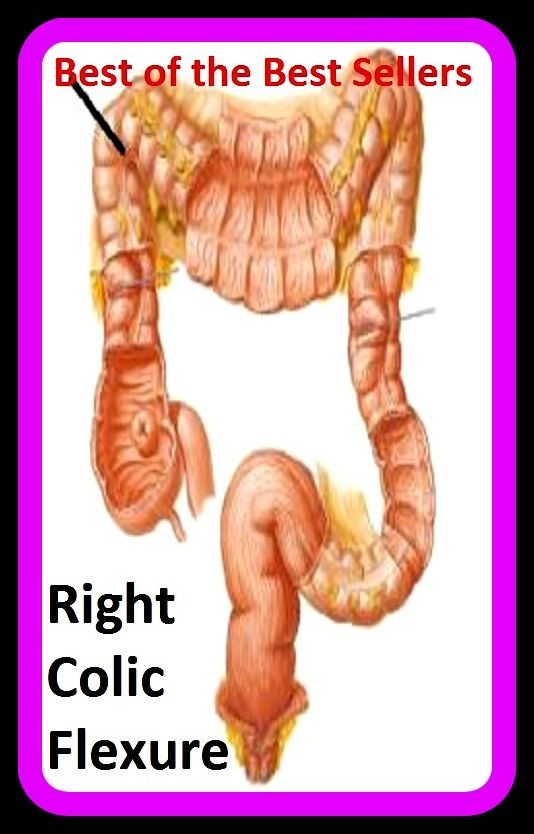 Best of the Best Sellers Right Colic Flexure ( election, Fleurette, inflection, crease, fold, bend, flex ion, crimp, placation)